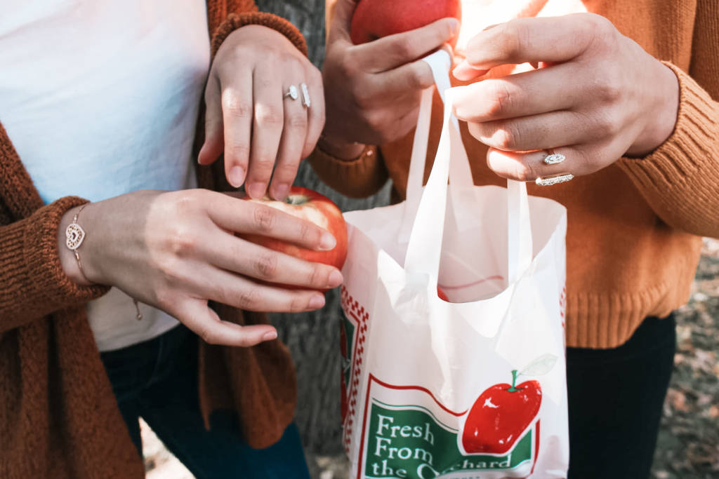fashion-rings-apple-picking-1024×683