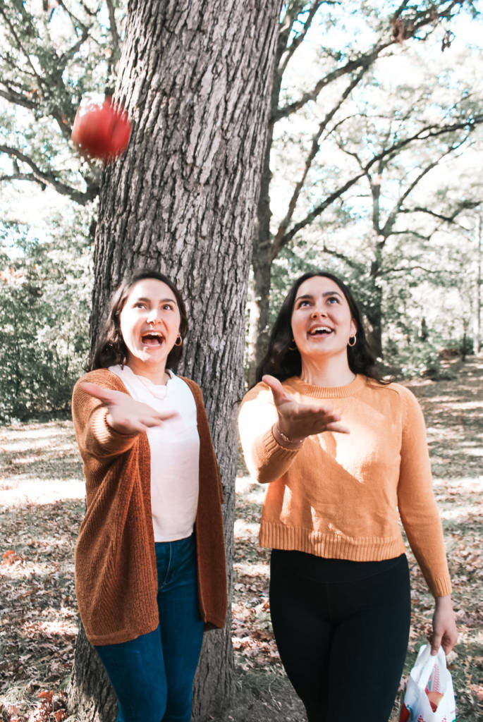 hoops-and-apples-685×1024